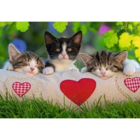 Puzzle pisicute somnoroase 2x24 piese